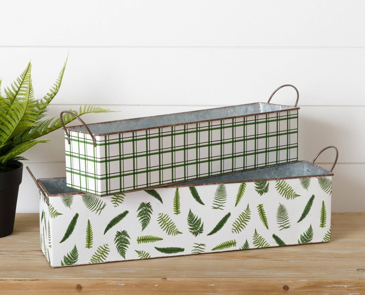Nested Rectangular Fern Tins
