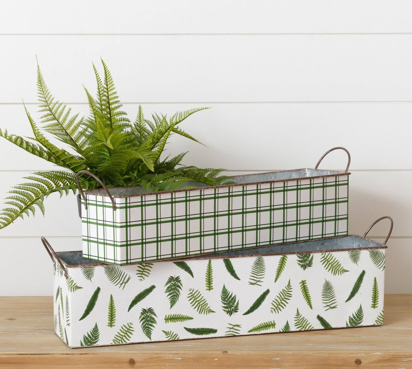 Nested Rectangular Fern Tins
