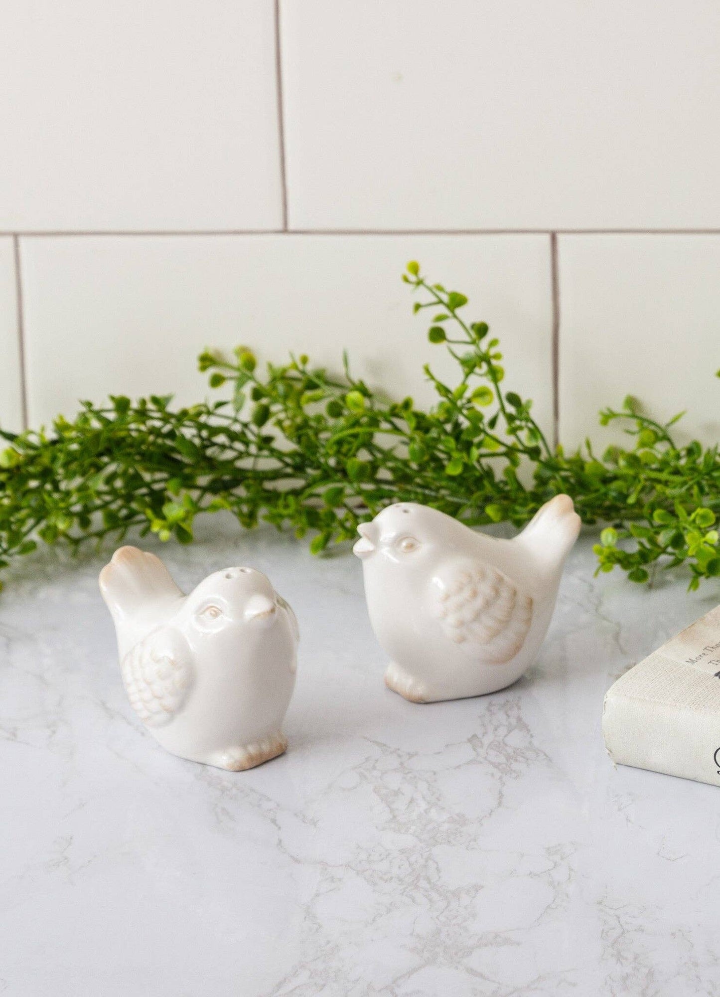 Ceramic Bird Salt And Pepper Shakers (Pk/02 Pr)