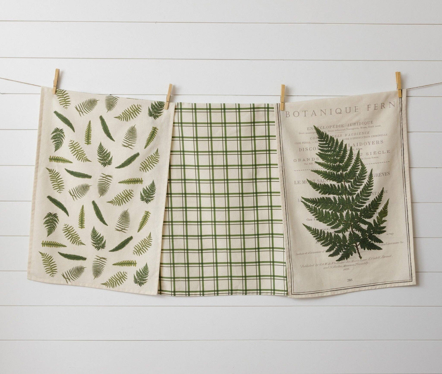 Tea Towels - Ferns (Pk/03 Ast)