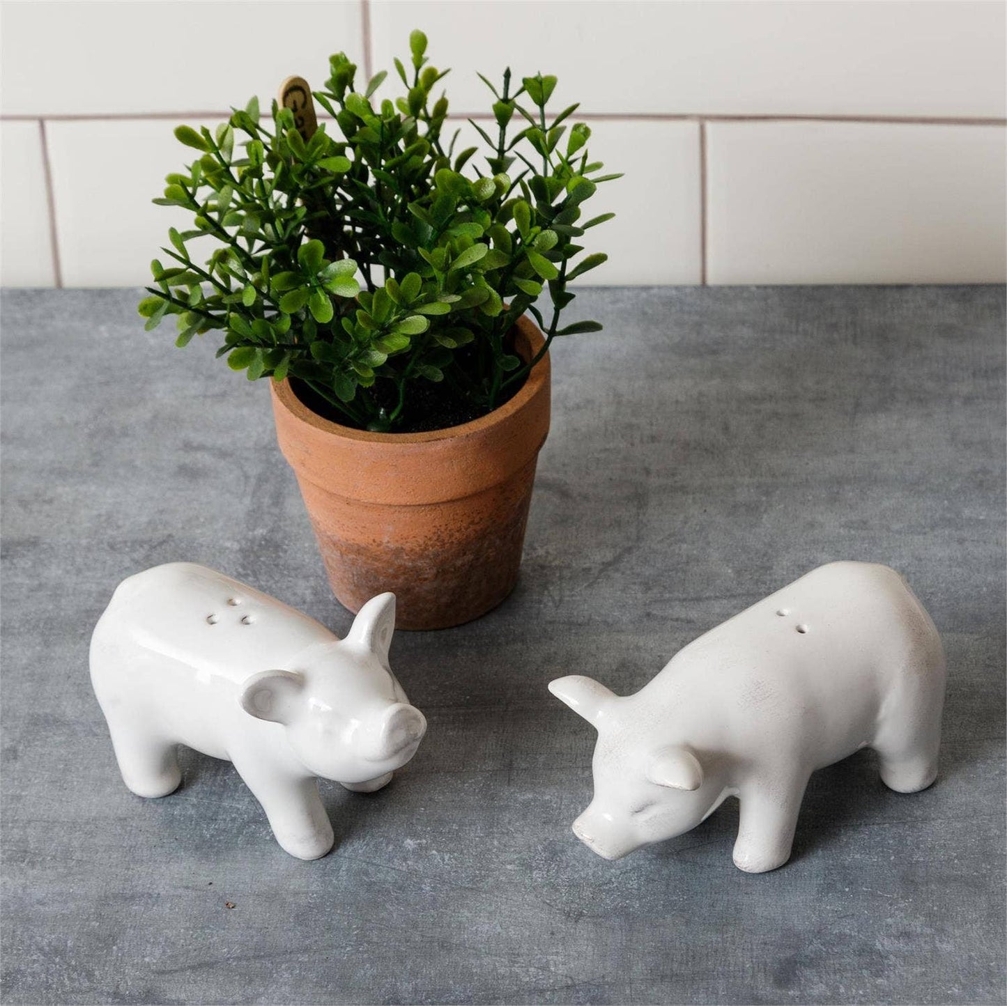 Pig Salt And Pepper Shakers (Pair)