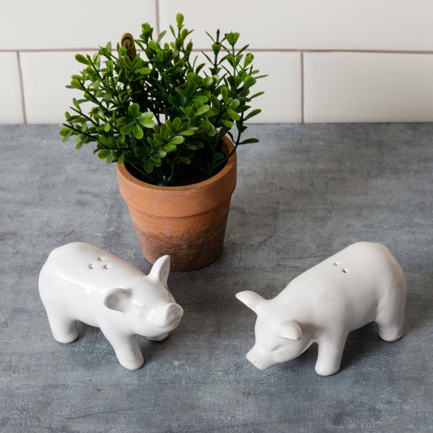 Pig Salt And Pepper Shakers (Pair)