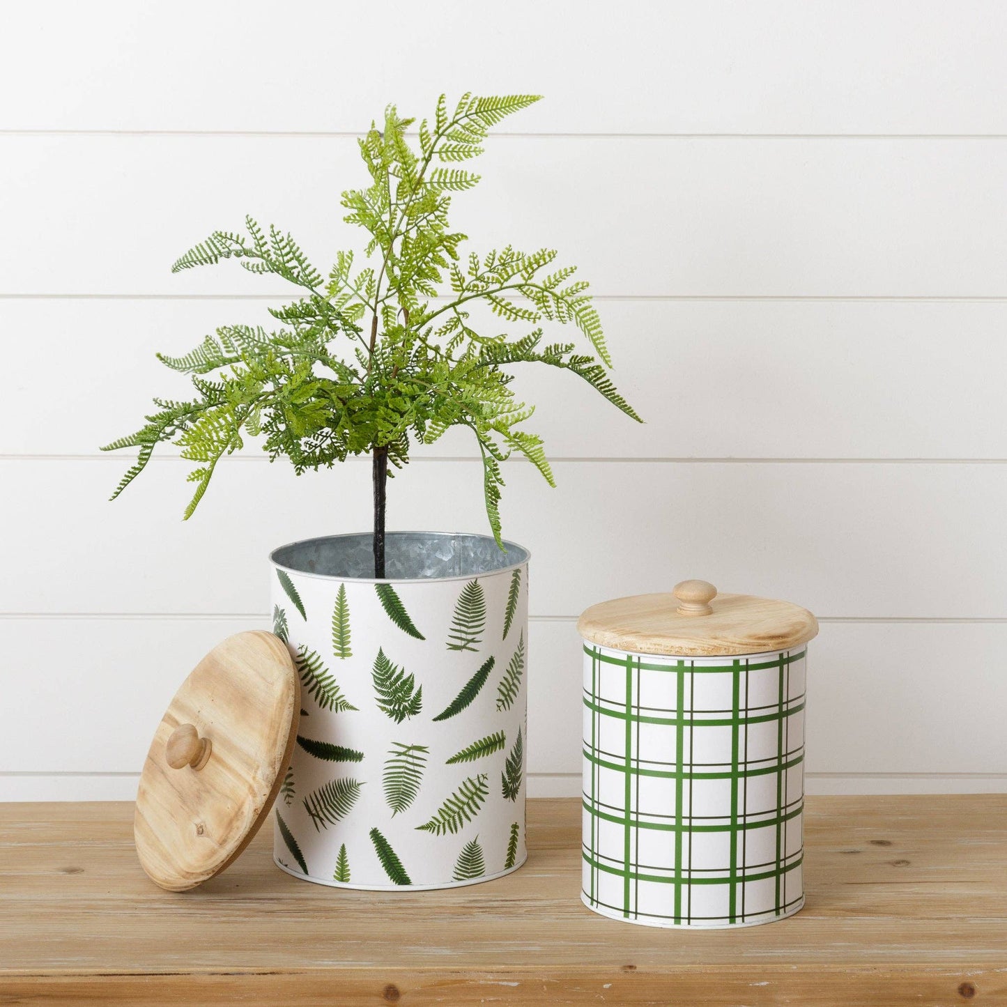 Canisters - Ferns And Stripes