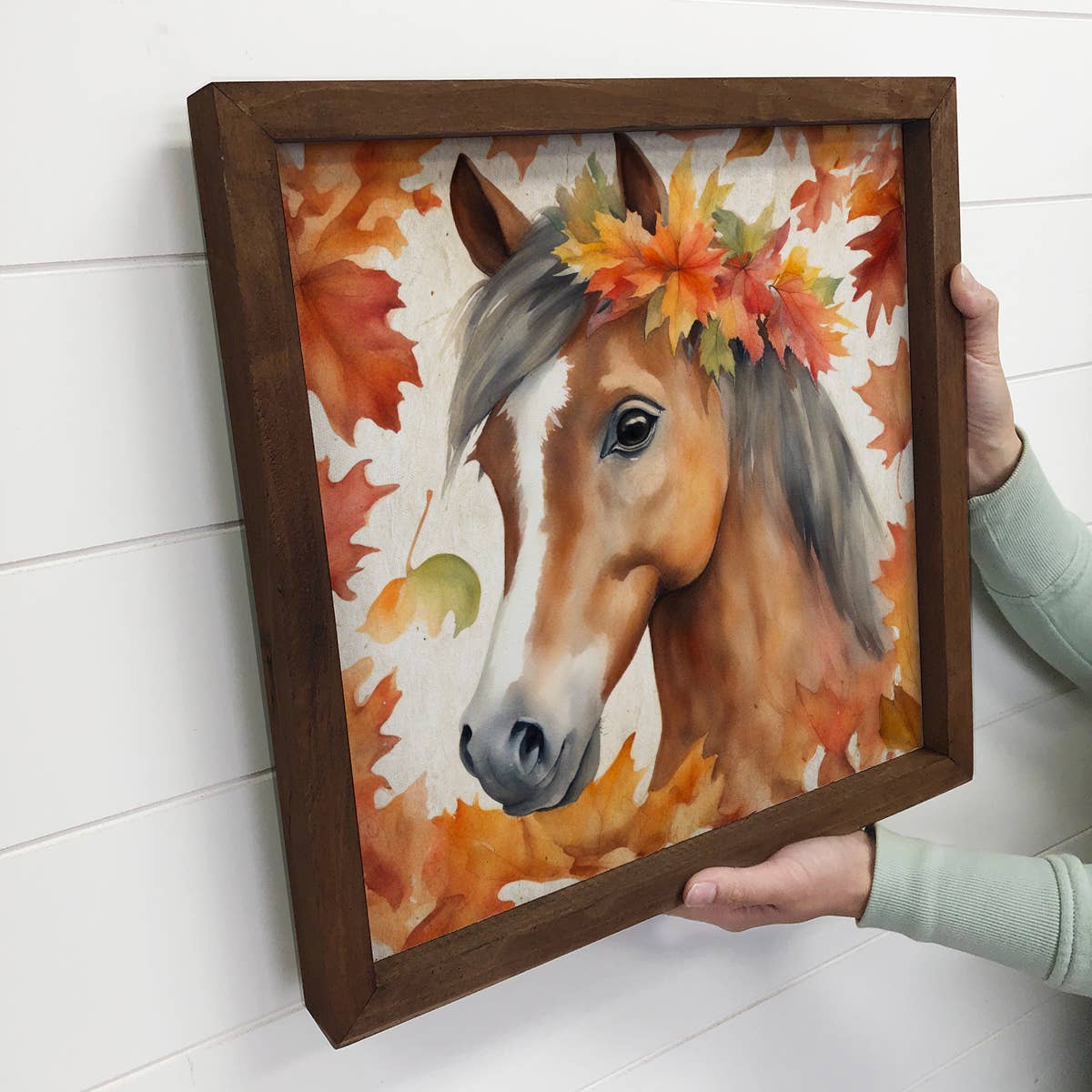 HOME: Fall Farm Animals Baby Horse - Cute Baby Animal Canvas Art