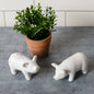 Pig Salt And Pepper Shakers (Pair)